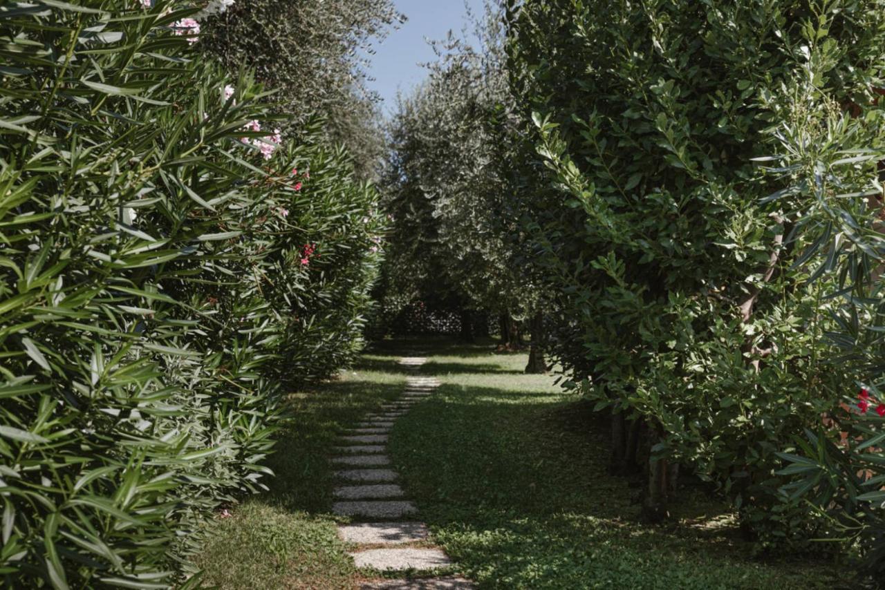 App. Mimosa Minerva Holiday Home Manerba del Garda Eksteriør bilde